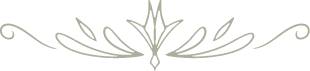 Vector 1